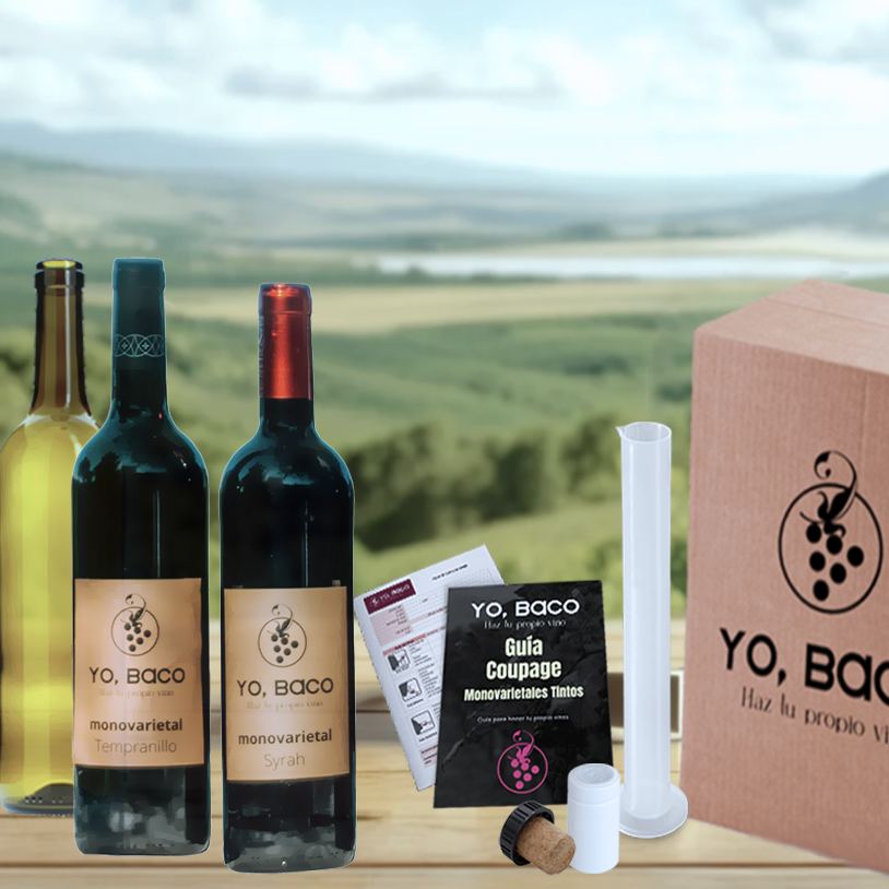 Iniciación al  Coupage de Vinos Tintos   "Tu primer vino"