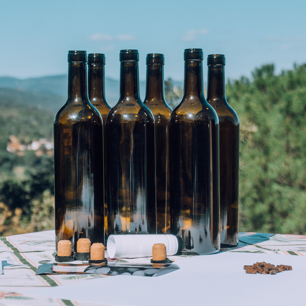 Experiencia Completa de Envejecimiento de Vino  " Tu primer Crianza"